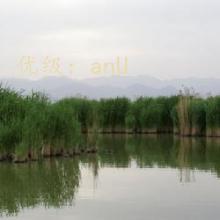ĩ