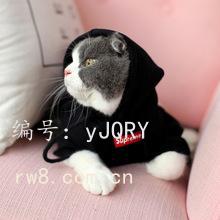 赸