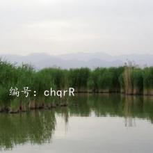 ѧϰ