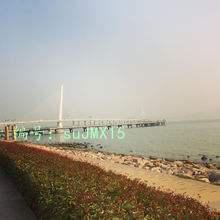 ʶ