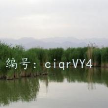 ǱĬ